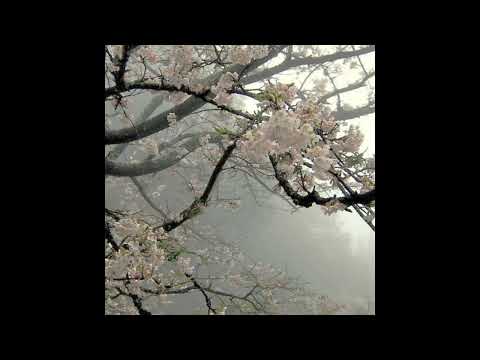 [FREE] h jeunecrack + 8ruki type beat - "vers havana" (p. 6min)