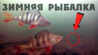 Безмотылка. ловля плотвы на безмотылку.