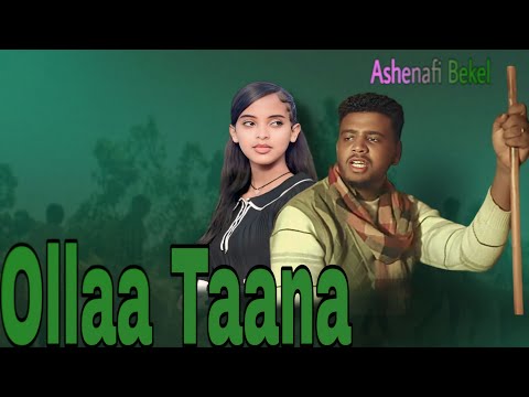 Ashenafi Bekele | Ollaa Taana New Ethiopian Oromo music 2025 (official music video)