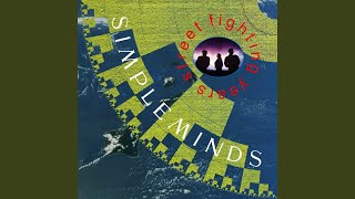 Book Of Brilliant Things (Live From Verona, Italy / 1989)