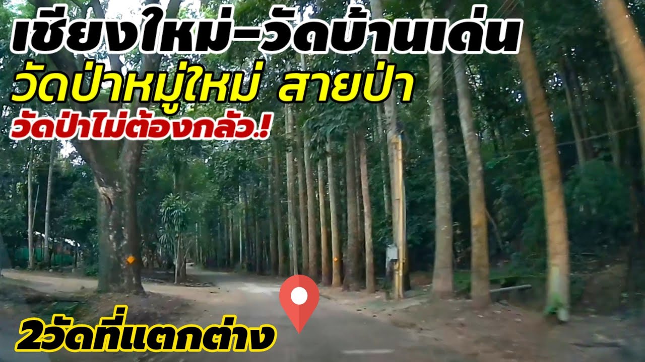 วัดป่าหมู่ใหม่