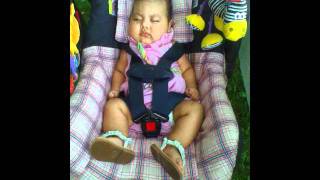 la nana de los peces muertos(bunbury)