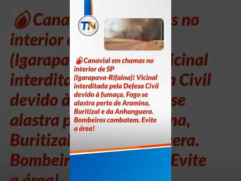 🚨 Incêndio gigante fecha vicinal e assusta interior de SP!