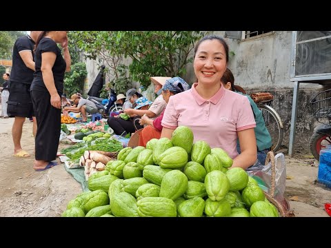 Harvesting Chayote Garden goes to the market sell | Loc Thi Huong