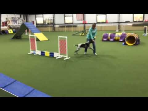 December 22, 2023, Fizz at 6 months short version