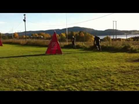 Niqila´s Comox IPO1 LL Siggerud OKT 2012 Gruppe C 80p