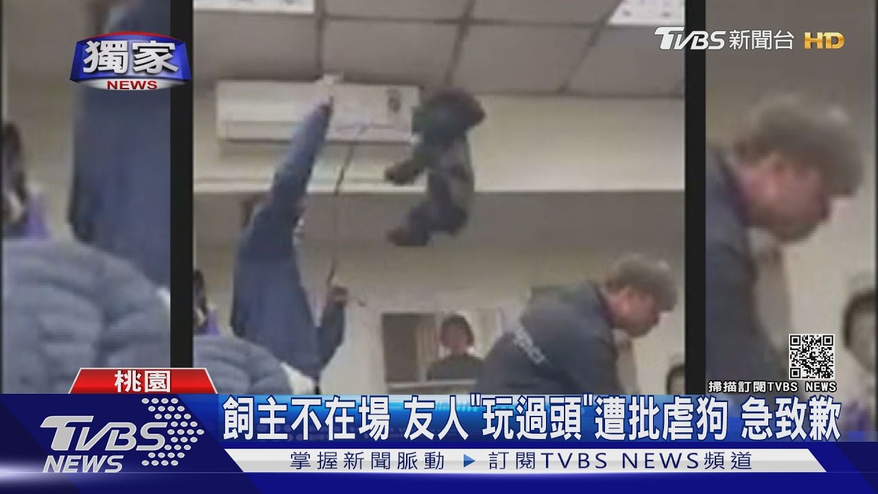 將狗當「玩具」甩！拋高擺盪引公憤　兩男致歉