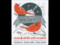 18. Dead Man's Will - Calexico, Iron & Wine (live on Holiday Cheer for FUV 2013)