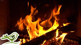 Instrumental Christmas Music & Cozy Fireplace 🎄 10 Years of Christmas with Soothing Relaxation
