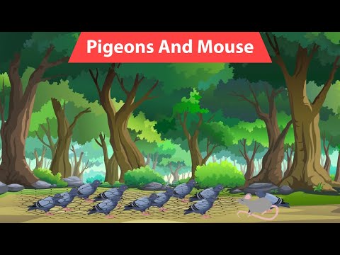 Pigeons And Mouse Story || Unity is Strength Moral Story || Moral Stories for Kids