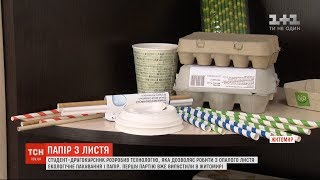 Изготовлена первая партия бумаги из опавших листьев по технологии украинского студента