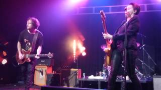 Baby Animals - Early Warning