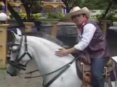 La Nueva Compañia   Fiesta Pinolera