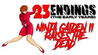 Story Breakdown: Ninja Gaiden II - The Dark Sword of Chaos (NES) - Defunct Games