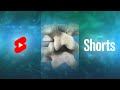 Spine Anatomy | Know Your Spine #Shorts