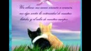 Rakim y Ken-Y Ft. Arthur Hanlon - Yo Se  forever