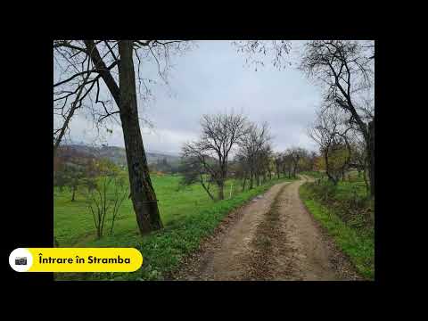 Suciu de Sus-Larga-Stramba-Suciu de Sus