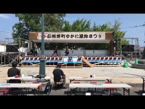 商学科 小樽商科大学"翔楽舞" 2019四獣奏 ゆかた風鈴祭り