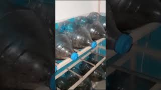 Download lagu USAHA PALING MENGUNTUNGKAN mp3 Download lagu USAHA PALING MENGUNTUNGKAN mp3