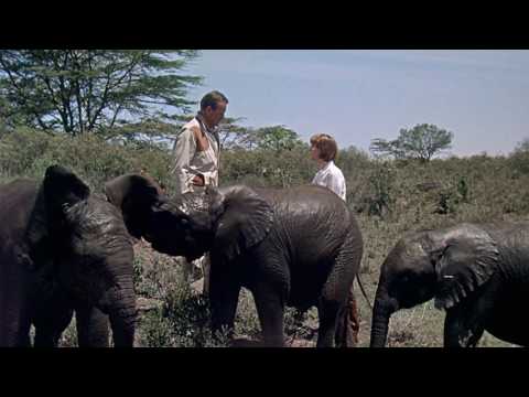 Hatari! - Elephants (Hawks, 1962)