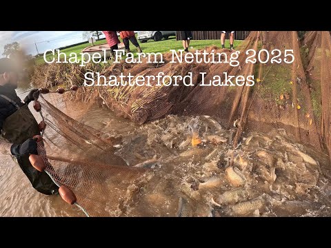 Chapel Farm Netting 2025 - Shatterford Lakes