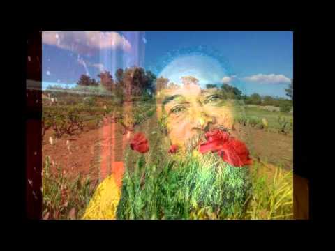 Ice Cream 4 The Soul 'Mini licks' with Mooji 'Divine Thought'