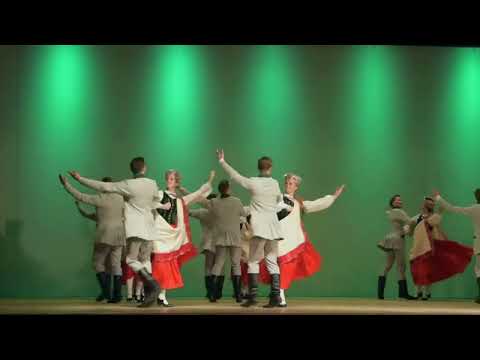 Ir 1873.Gads , Dimd Rīga    -  JDK ''SADANCIS''