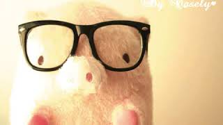 Casely   All I Want To Do Is Love ♥