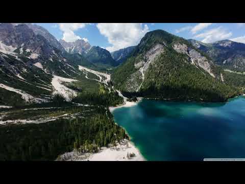 A.R.D.I. - Responsum [AVA White]