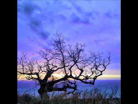 KAZKOTE - VERTE SONREIR (RAP URUGUAYO) la 420 records