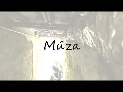 Tomáš Adámek & ToMášJedno - Tomáš Adámek & ToMášJedno - Múza (Official Music Video)