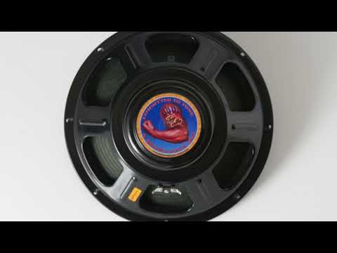 Tone Tubby 12" Black Alnico DD Hemp Cone Guitar Speaker 8 ohm NEW with Warranty image 6