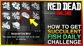 Cook Seasoned Succulent Fish Meat RDR2 Online Daily Challenge Location Guide Red Dead 2 Online