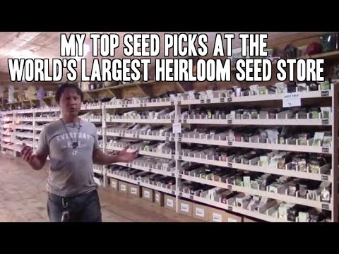 image-What is the difference between organic and heirloom seeds?
