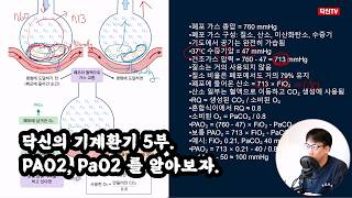 닥신TV thumbnail