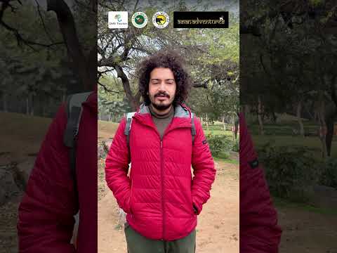 Nature, Noticed Anew | Mehrauli Archaeological Park