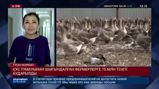 ҚҰС ТҰМАУЫНАН ШЫҒЫНДАЛҒАН ФЕРМЕРЛЕРГЕ 75 МЛН ТЕҢГЕ АУДАРЫЛДЫ