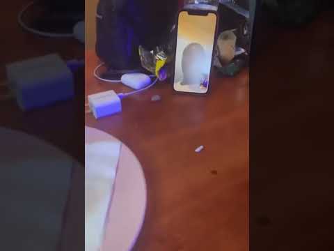 Kodak Black Co-signs Pine Bluff Artists Rundown ChoppaBoy And NicWithTheKay