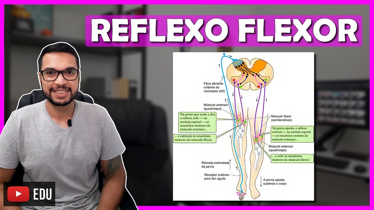 REFLEXO DE RETIRADA [Neuro 06]
