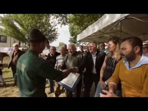 Armeno fiera zootecnica 2016