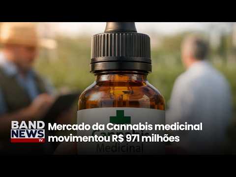 Mercado da Cannabis medicinal movimentou R$ 971 milhões