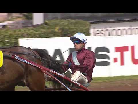 Grand National du Trot Paris-Turf 2019 - Etape 3 Lyon La Soie - La course - COLT DES ESSARTS