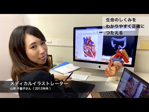 診療放射線学科 医療福祉人になる「メディカルイラストレータ」【川崎医療福祉大学】