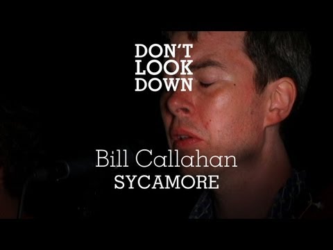 Bill Callahan - Sycamore - Don't Look Down