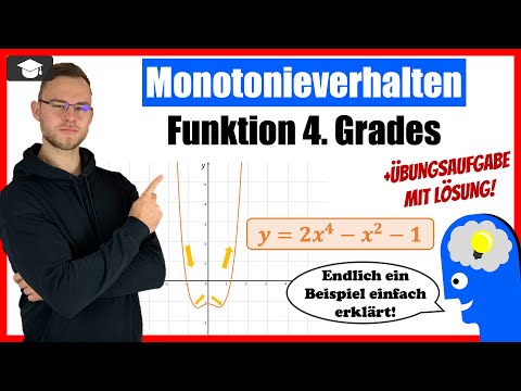 Monotonieverhalten 4. Grades (Steigungsverhalten) Beispiel