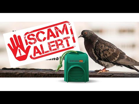 , title : 'Pigeon deterrent SCAM - Stop Bird Pro - review - repellent - control - how not to get rid of pigeons'