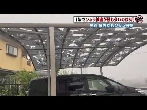 植物防風生垣 2022