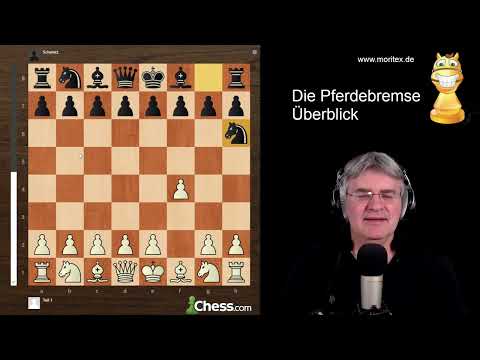 Die  Pferdebremse - ein Überblick