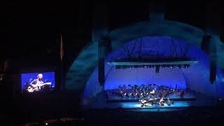 Hollywood Bowl - Diana Krall: Moonglow from Picnic (full)