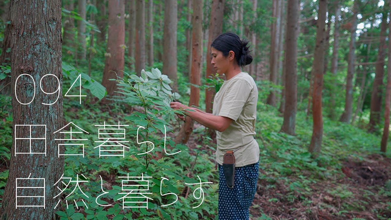 【Japanese Countryside Cooking】Make plum jelly with the harvested plums